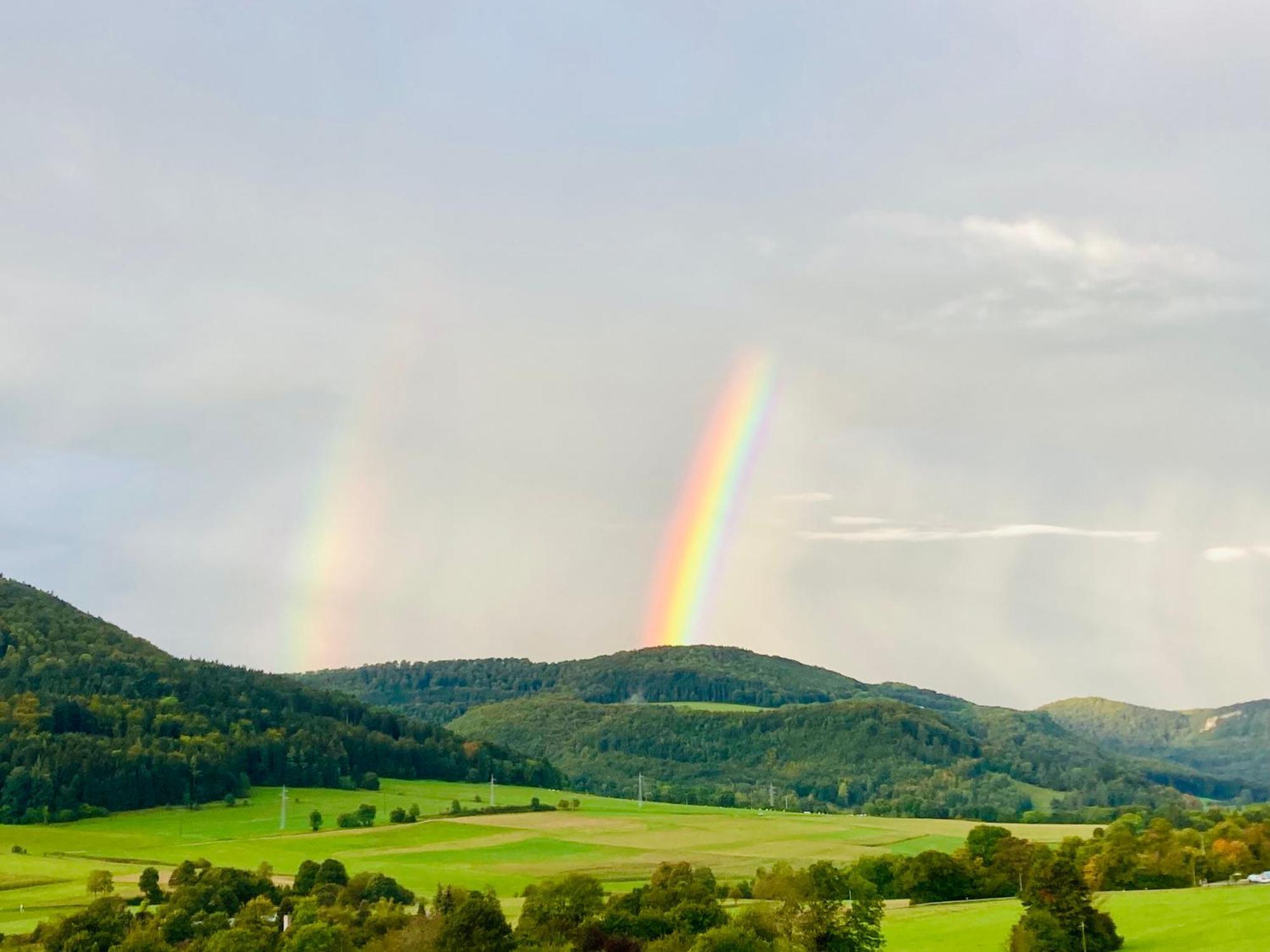 Апартаменты Atemberaubender Ausblick Mit Premium-Wanderwegen Vor Der Haustuer Альбштадт Экстерьер фото